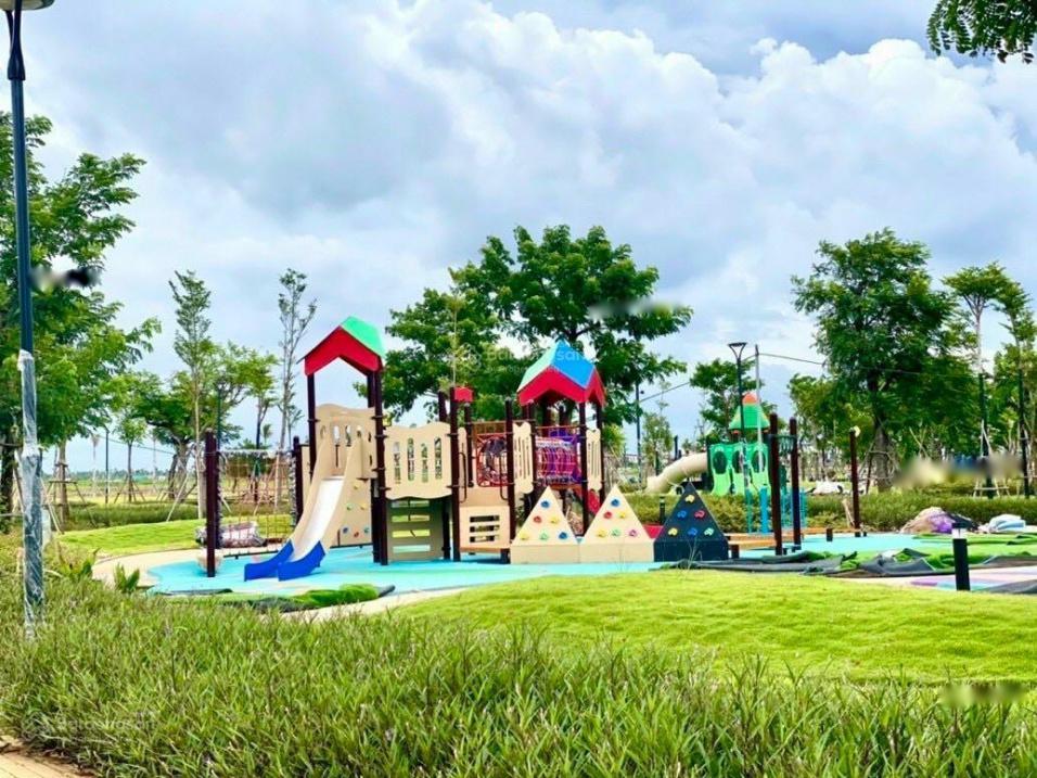 4299029 ảnh đại diện 1