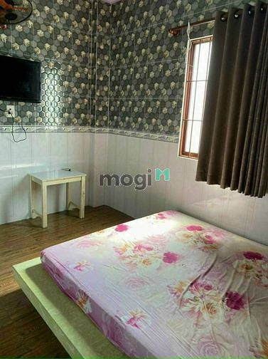 4299402 ảnh đại diện 2
