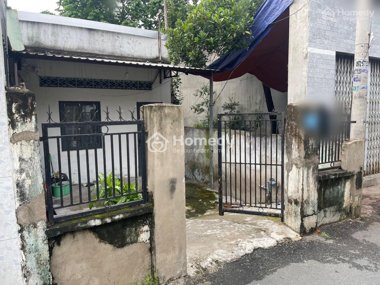 4298939 ảnh đại diện 1