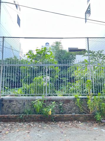 4298418 ảnh đại diện 1