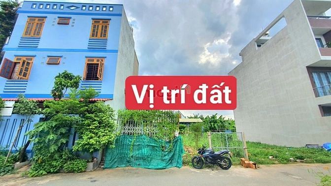 4300486 ảnh đại diện 1