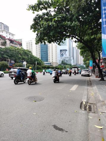 4302158 ảnh đại diện 1