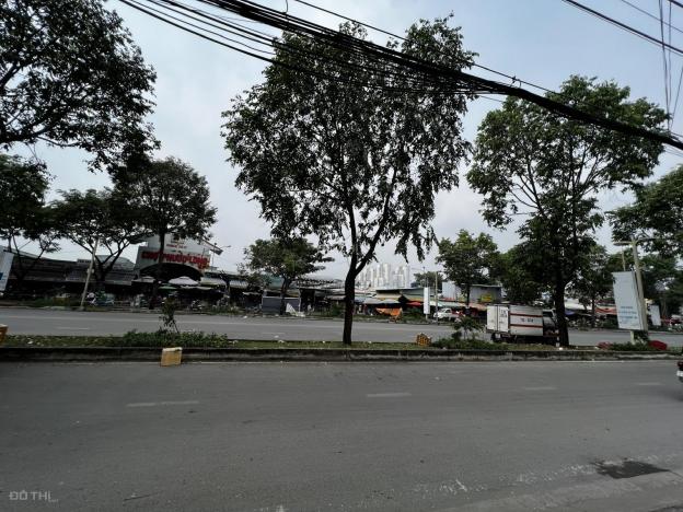 4301856 ảnh đại diện 2