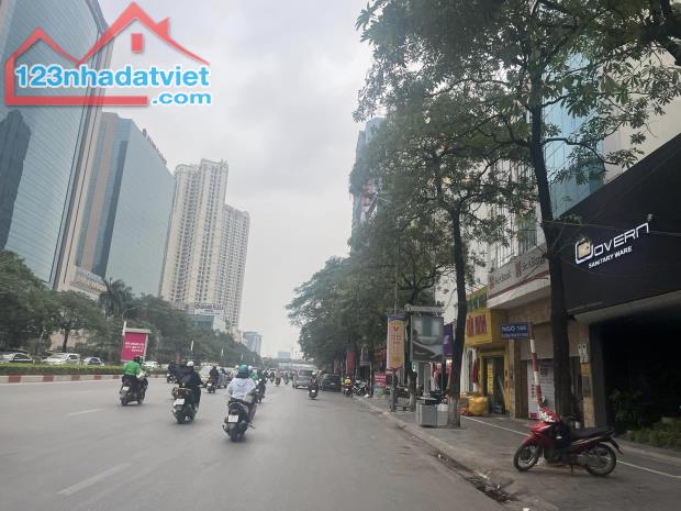 4302789 ảnh đại diện 1