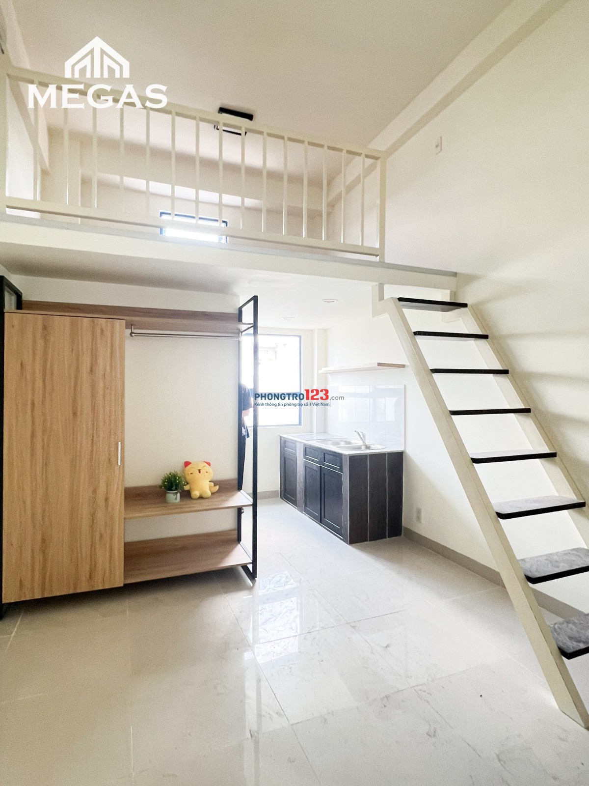 4302889 ảnh đại diện 2