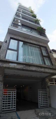 4302132 ảnh đại diện 2