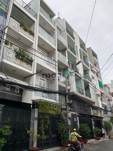 4303028 ảnh đại diện 2