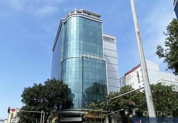 4302132 ảnh đại diện 1