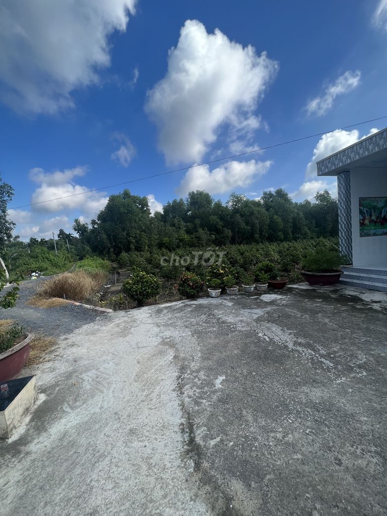 4302497 ảnh đại diện 1