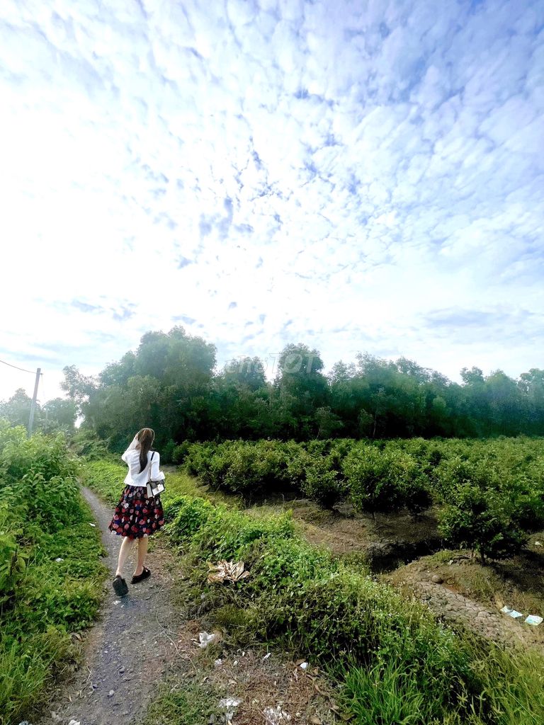 4302497 ảnh đại diện 1