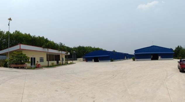 4302193 ảnh đại diện 1