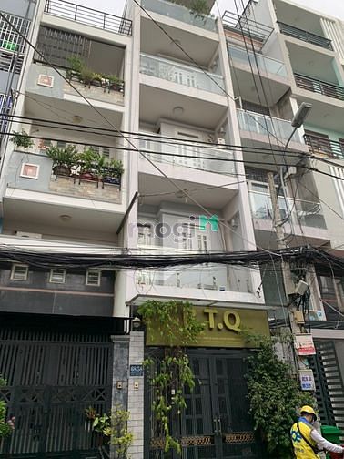 4303028 ảnh đại diện 1