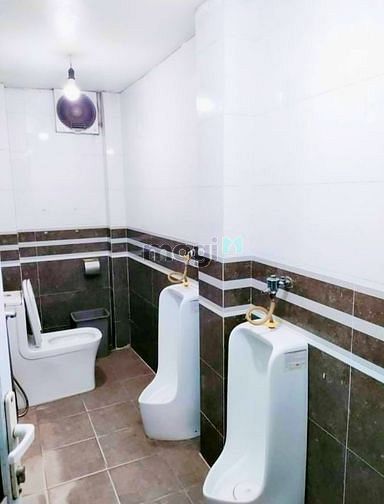 4301849 ảnh đại diện 1