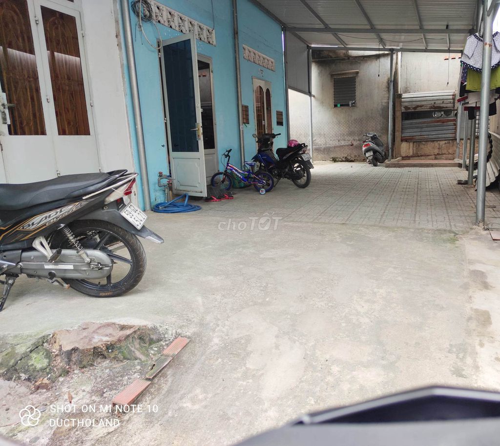 4303019 ảnh đại diện 1