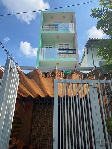 4301896 ảnh đại diện 2