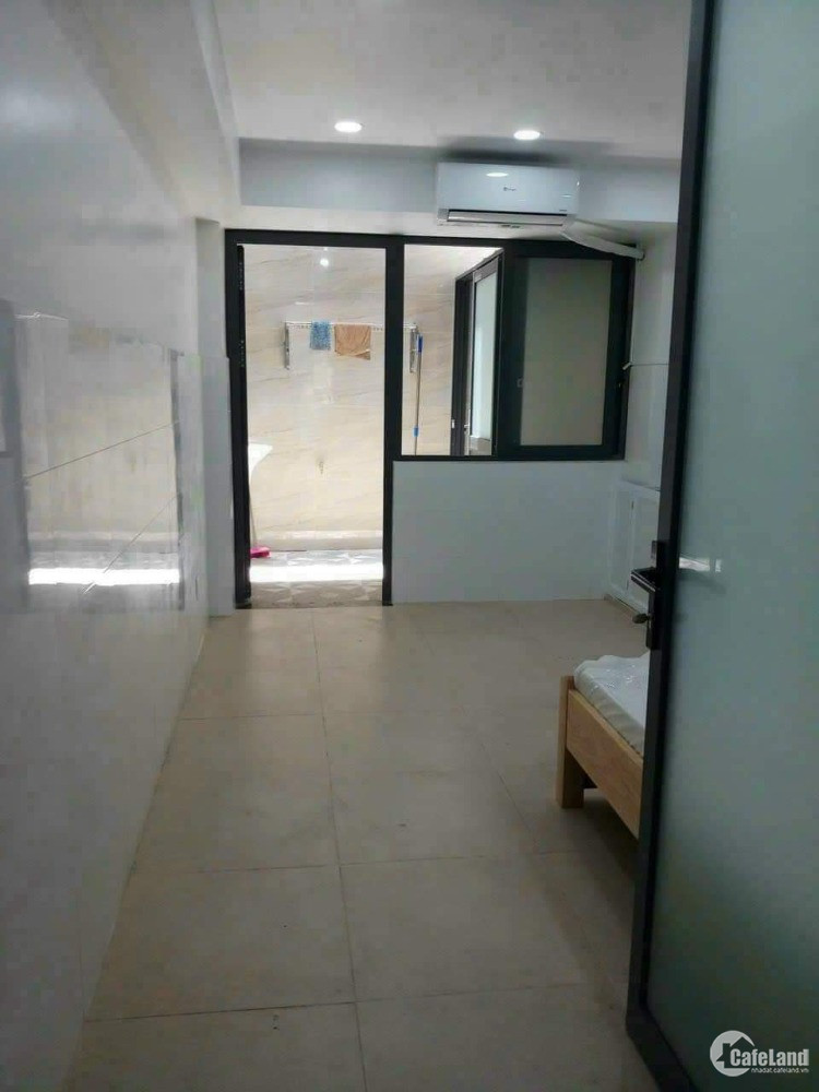 4302913 ảnh đại diện 1