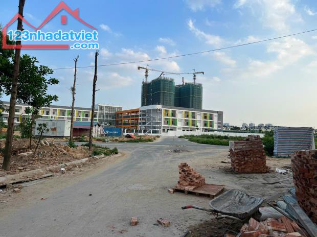 4302711 ảnh đại diện 1