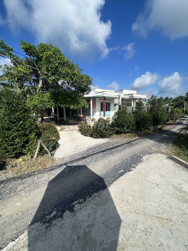 4302497 ảnh đại diện 2