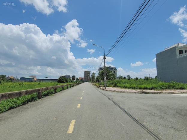 4301855 ảnh đại diện 2