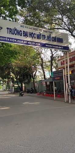 4302291 ảnh đại diện 2