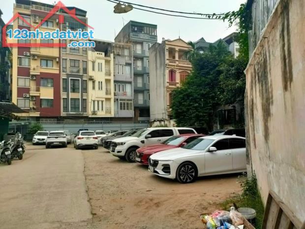 4302793 ảnh đại diện 1