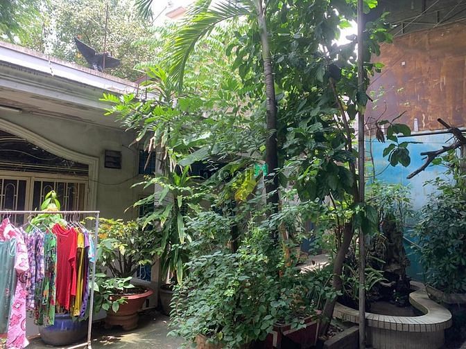 4301876 ảnh đại diện 2
