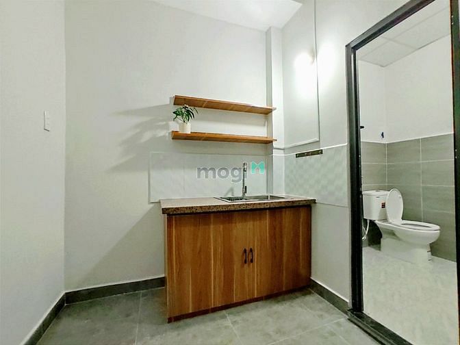 4302449 ảnh đại diện 2