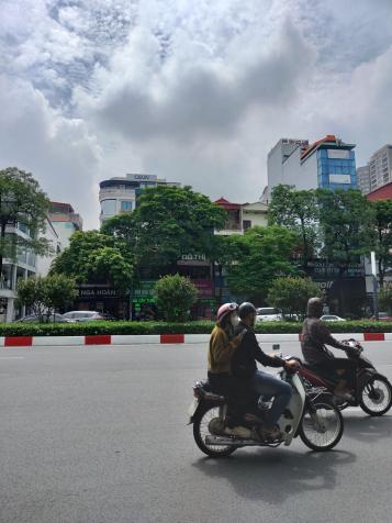 4302158 ảnh đại diện 2