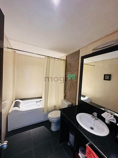 4302221 ảnh đại diện 1