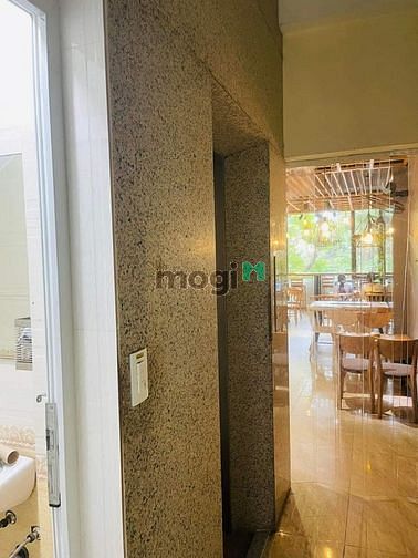 4301844 ảnh đại diện 1