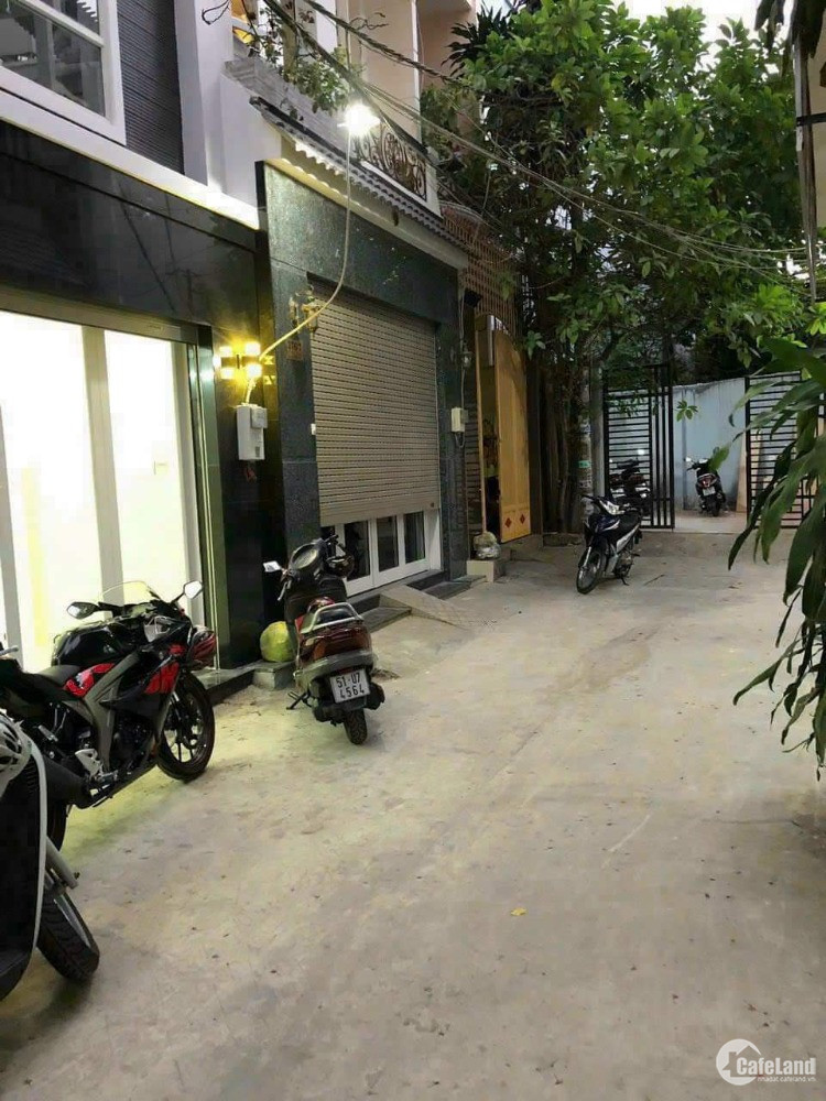 4302913 ảnh đại diện 2