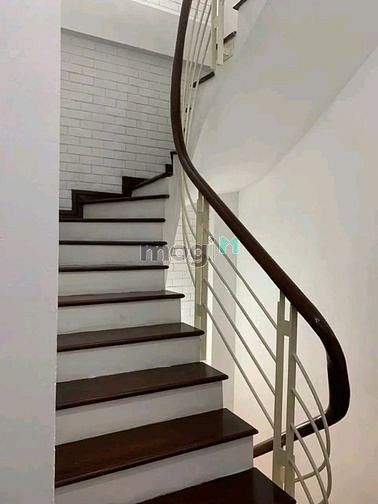 4302033 ảnh đại diện 2