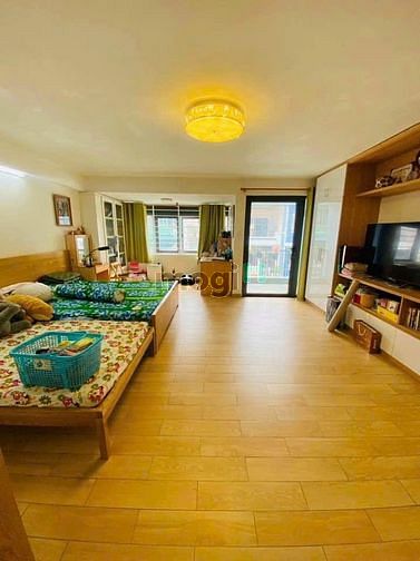 4302047 ảnh đại diện 2