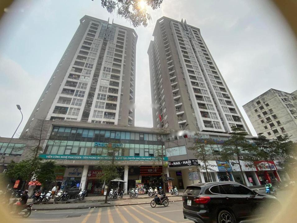 4301874 ảnh đại diện 2