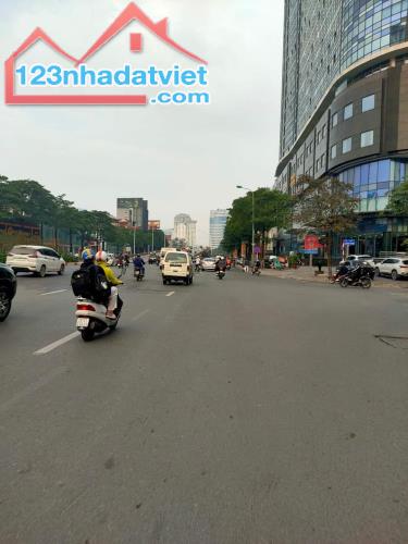 4302793 ảnh đại diện 1