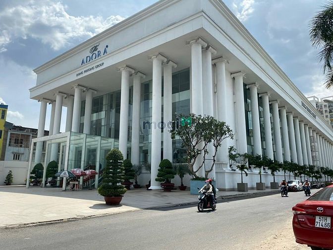 4302291 ảnh đại diện 1