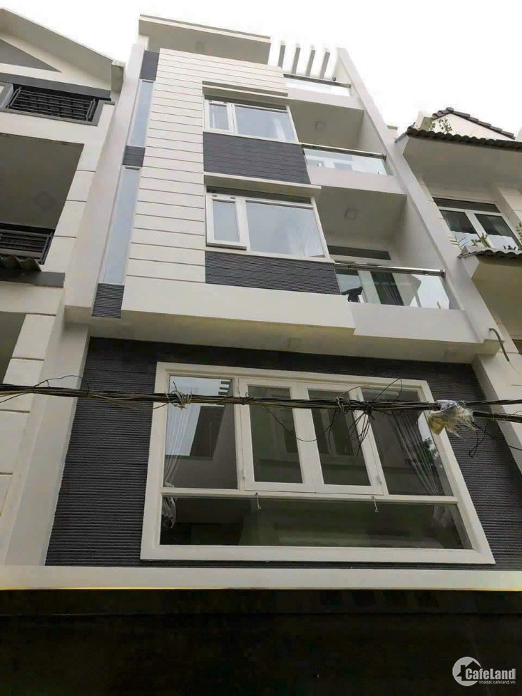 4302913 ảnh đại diện 1