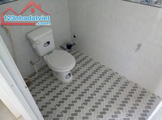4303265 ảnh đại diện 2
