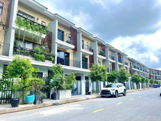 4305806 ảnh đại diện 1
