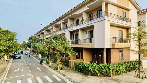4305803 ảnh đại diện 1