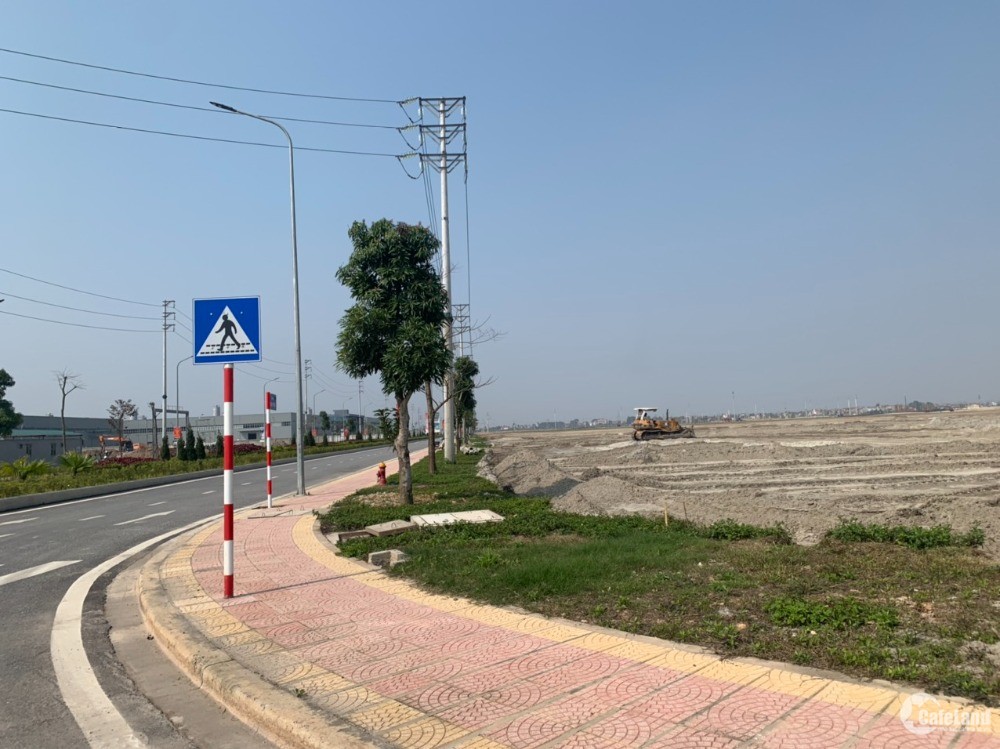4305813 ảnh đại diện 1