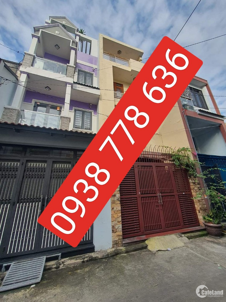 4303182 ảnh đại diện 1