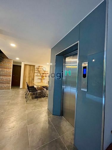 4304087 ảnh đại diện 1