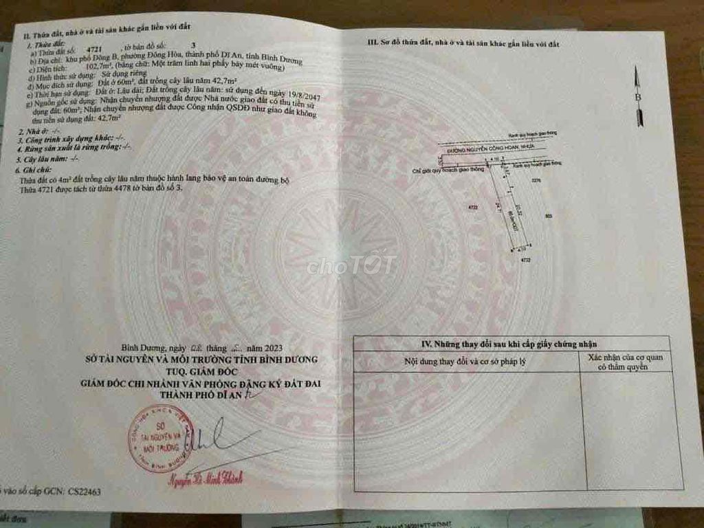 4305149 ảnh đại diện 2