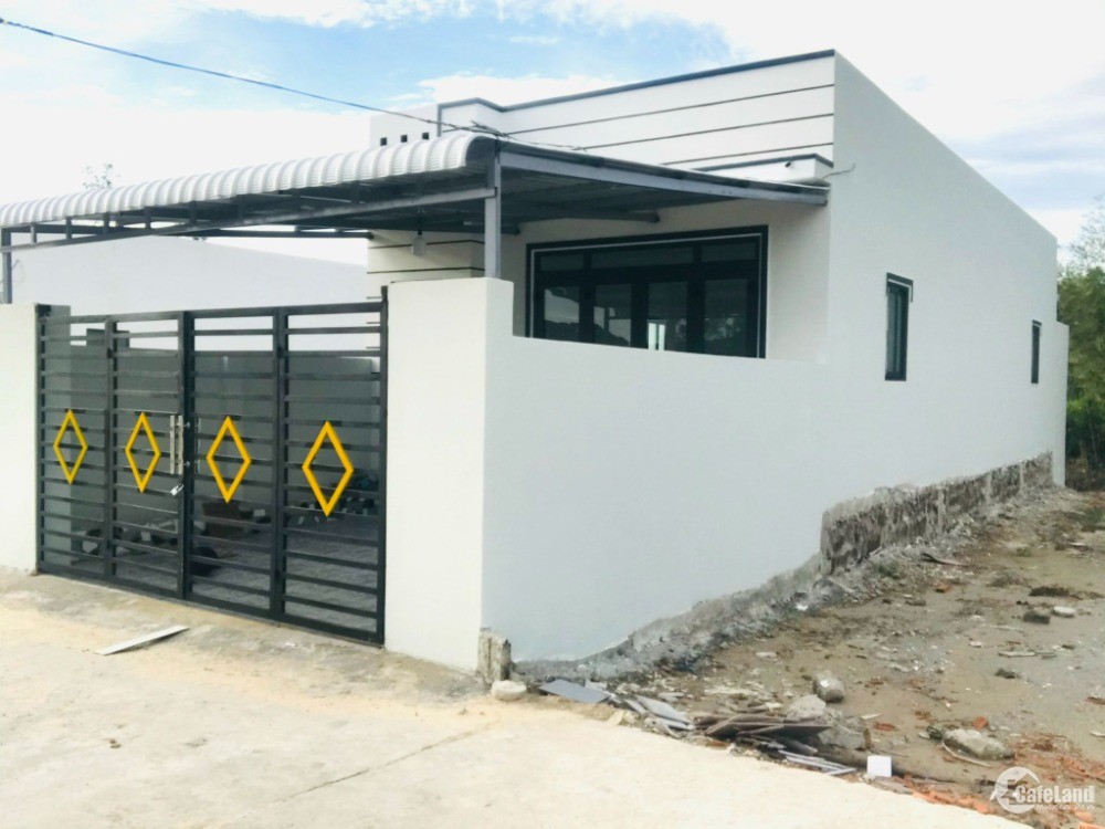 4303127 ảnh đại diện 1