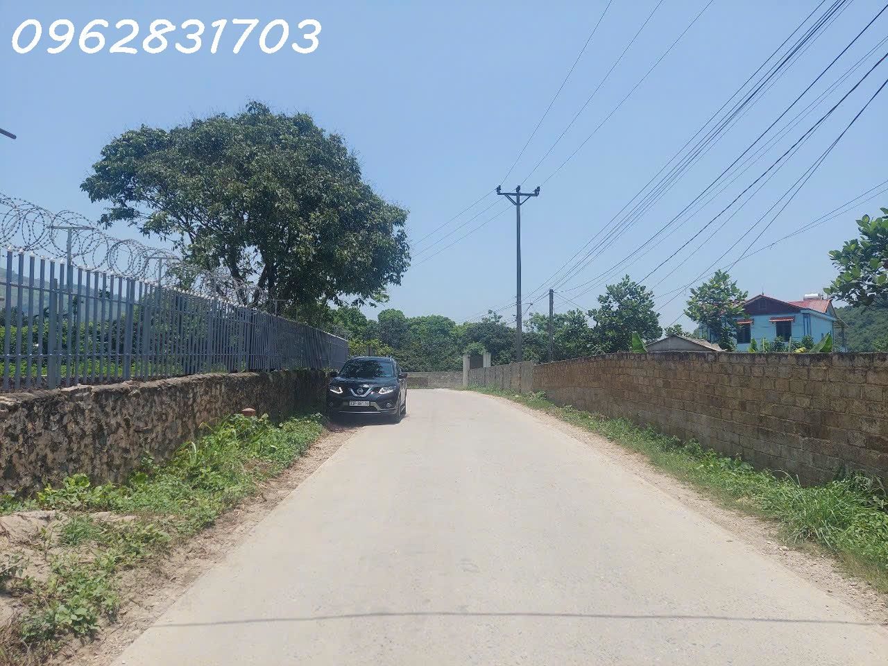 4303956 ảnh đại diện 1