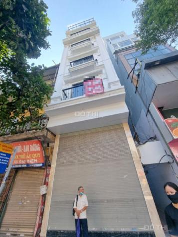 4305800 ảnh đại diện 1