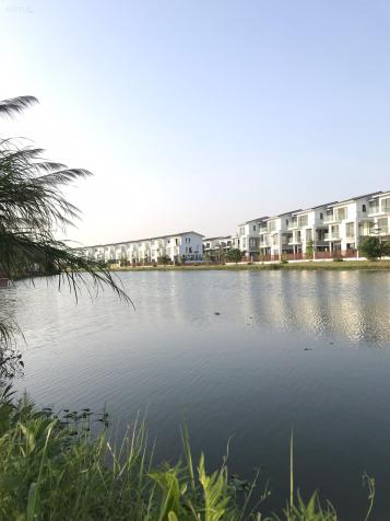 4305806 ảnh đại diện 2