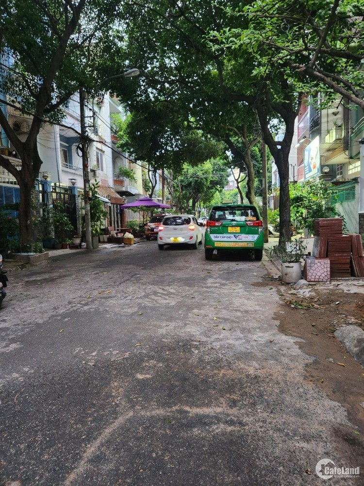 4303055 ảnh đại diện 2