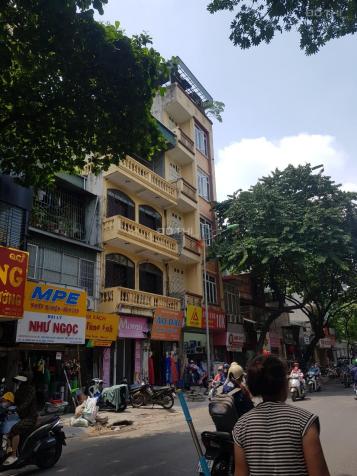 4303638 ảnh đại diện 1
